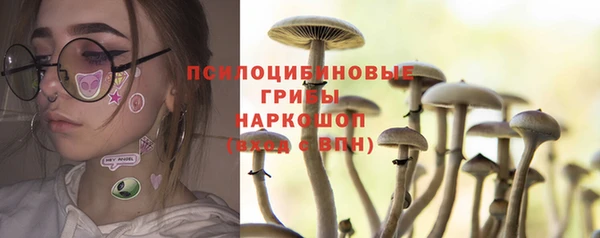 ГАЛЛЮЦИНОГЕННЫЕ ГРИБЫ Балабаново