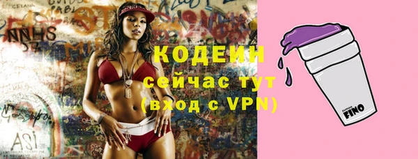 ГАЛЛЮЦИНОГЕННЫЕ ГРИБЫ Балабаново